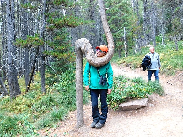 991A3E445B9F2E612B8477