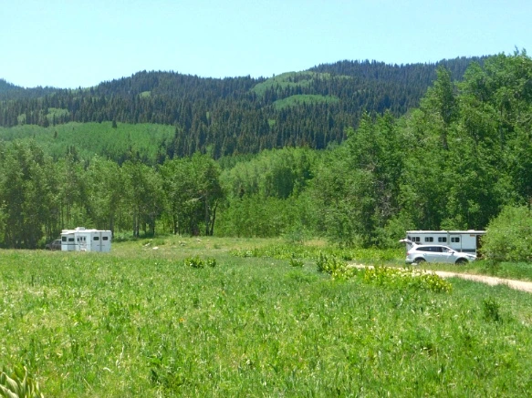 23622B44595C319D27D6B5