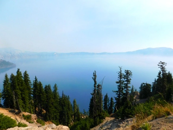 99BAC23359A62E93361BC2