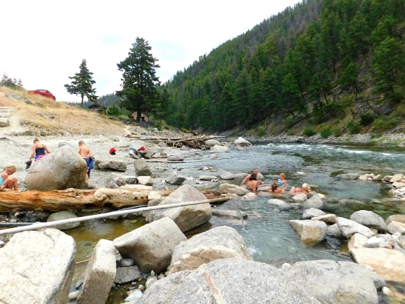 99CE463359A9ECF6202159