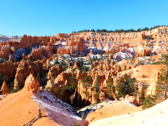 995EB0335A1A3B5E3AEB70