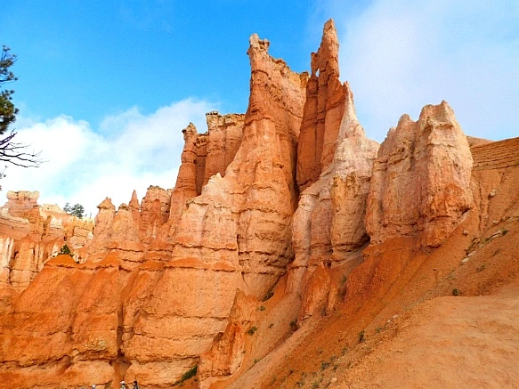 99FD9F4A5BC5697A2239E0