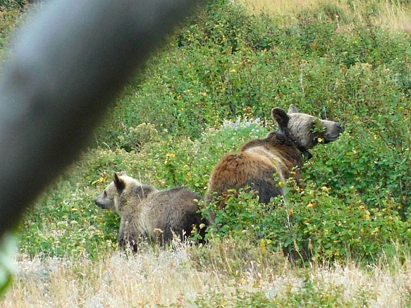 995796425B8F3A83210621