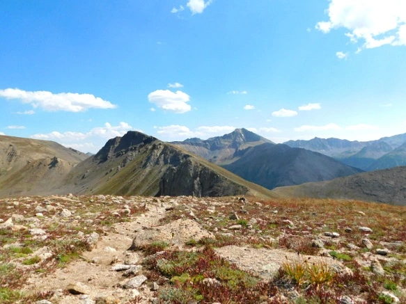 99A9A4505B6BA32B19F45D