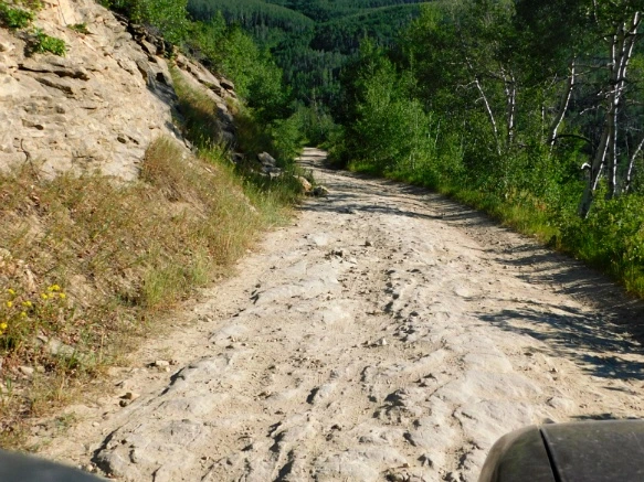 247EE648595C313E236D29