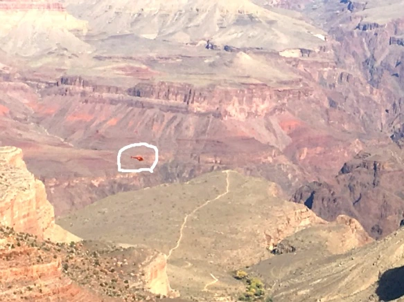 99BCA5335A1F90E019D3B0