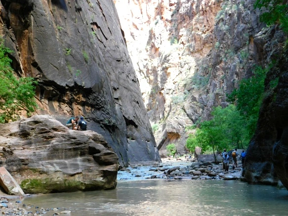 99F63F3359BB14FC05F175