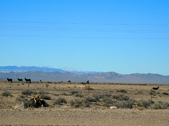 99367C335BD3E2DD160423