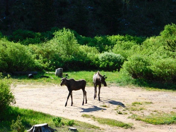 994AA04F5B29F2192F46F4