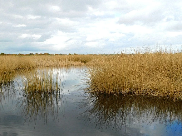 998FA63A5BF9F9DB062FB4