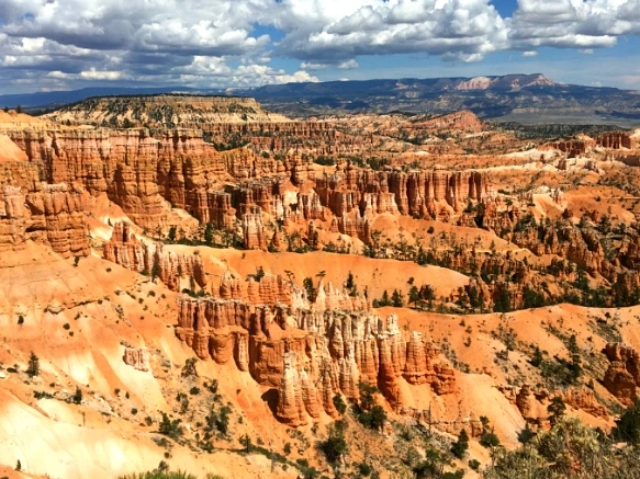 990F213359B875BB01DD9D