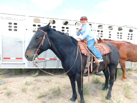 21302444593635802E6C88