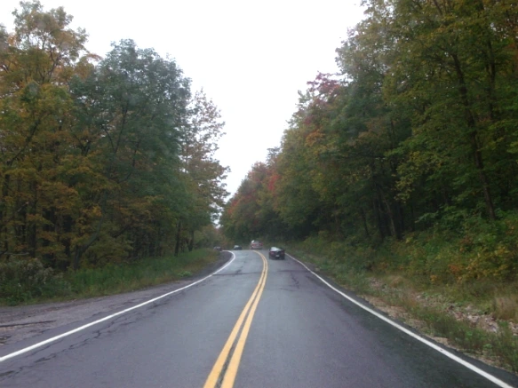 194ED74E4E7FE46819B06D