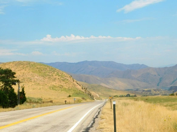 991F523359A8A0440CB348