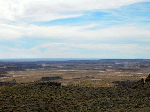 9939C2355BE6779827689D