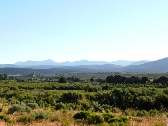 23678A385769D70C26EA14