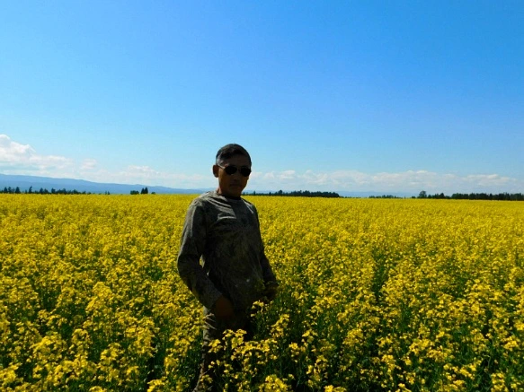 99F23B445B3455C71E0C4E