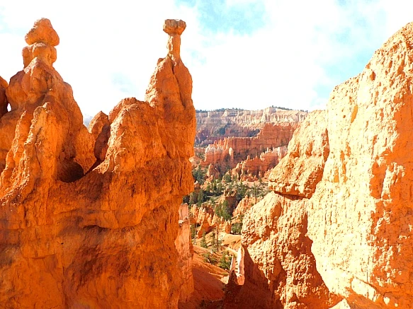 99EC104D5BC56AD91DA382