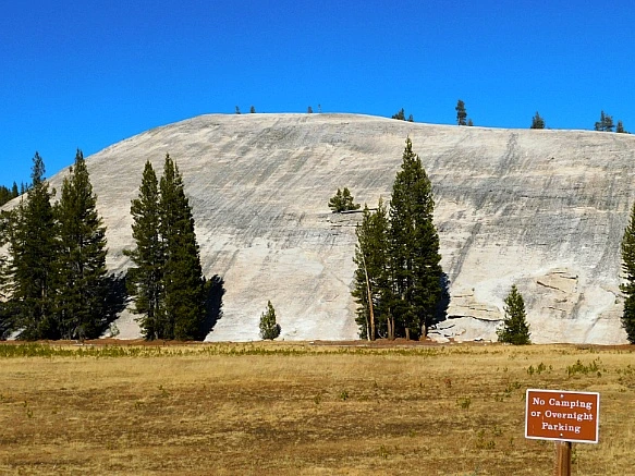 997B19385BD66E282EF4A6