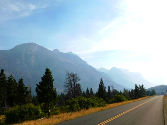 99EC8E3359A1038F1EEE26