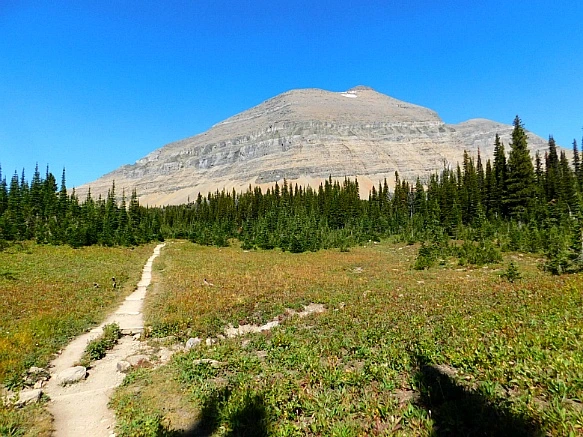 994319445B95AABC17C877