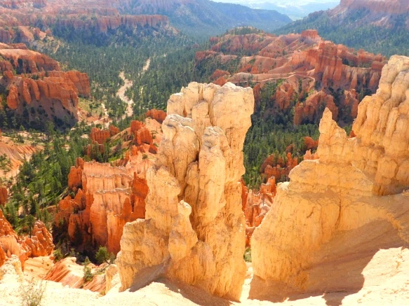 236CE5335769D74512A753