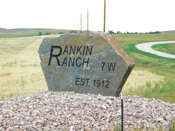 99777B435B77A4000920FA