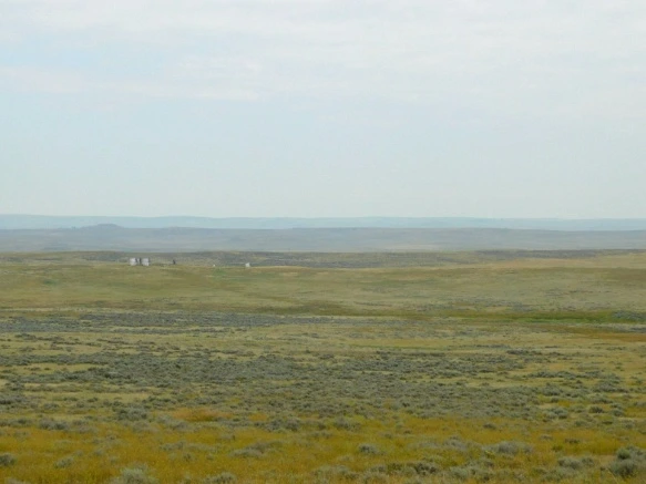 99D2C2425B77A1AC0FACEA