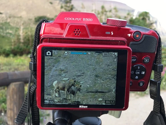 99349E3359A24D4A052490