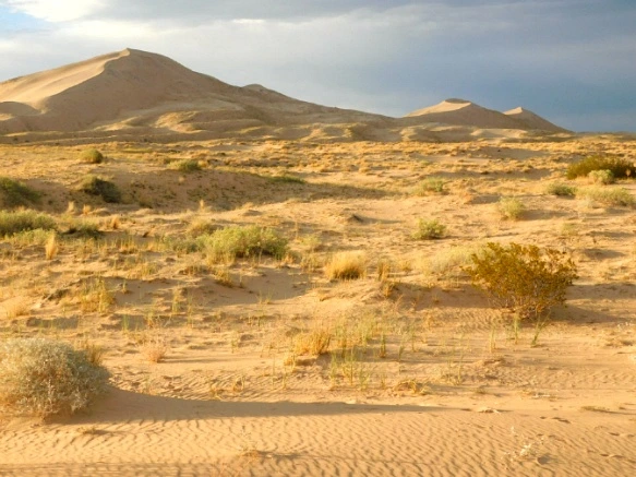 21700834577B02B2051DFC