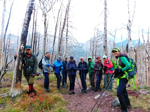 9992ED475BA062CE133F0A