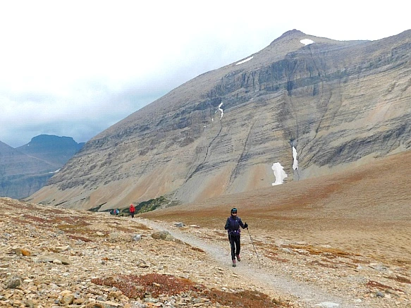 990FAA485BA05B8D3627B9