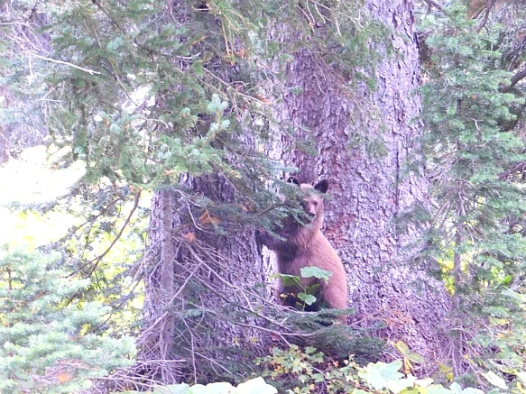 9943834C5BA1B2AC0A45CB