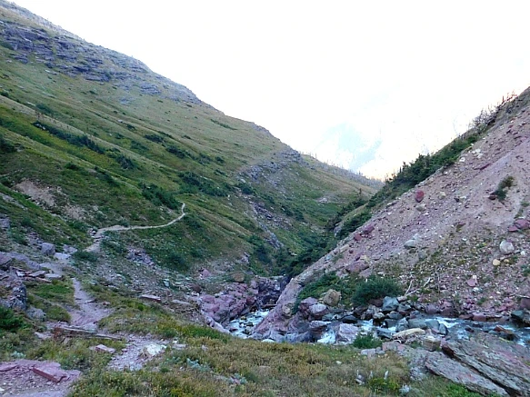 99B3B9495B95B1BF3223A8