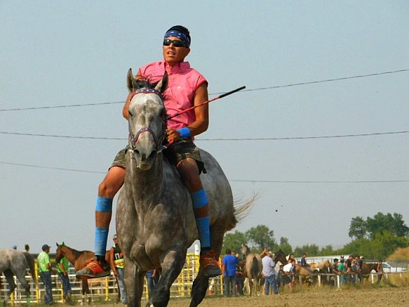 9914FB345B7D9EB502DB33