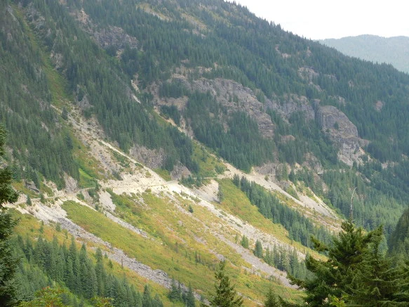 9910593359A4AB500C7201