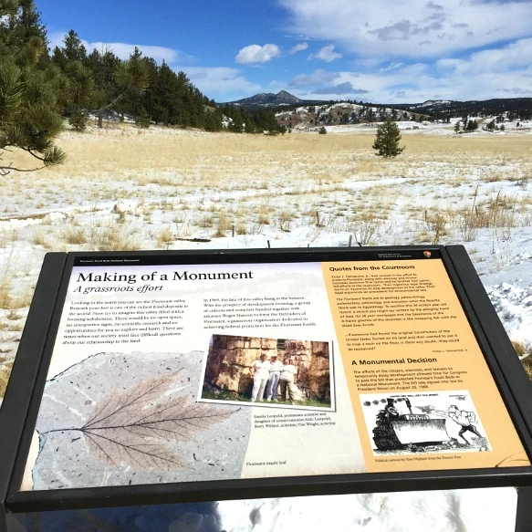 240D033956F7359220F986