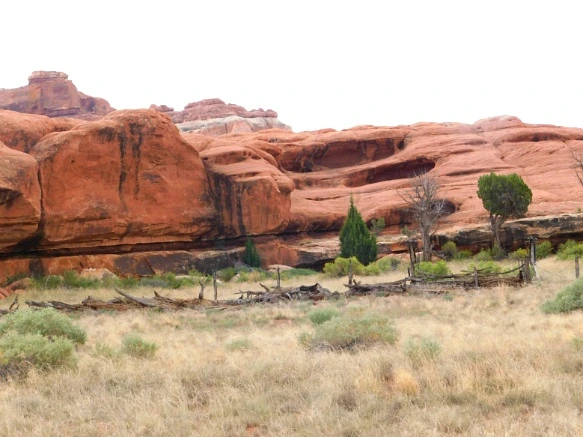 9942B13359B482C014A8FF