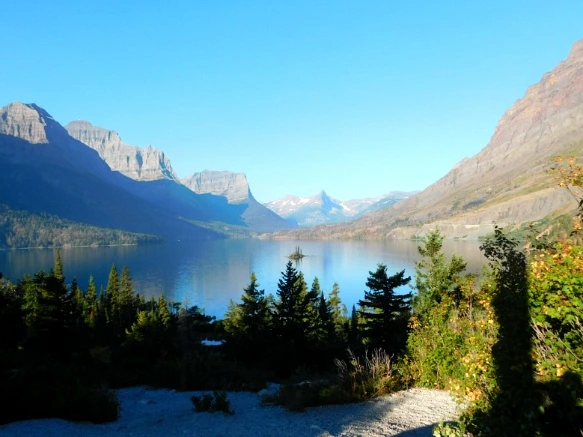 99B25B3359A2439712A37A