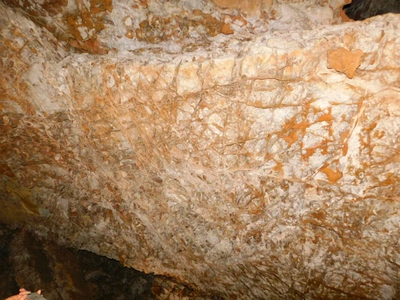 99D9CC4C5B44059129B8F7