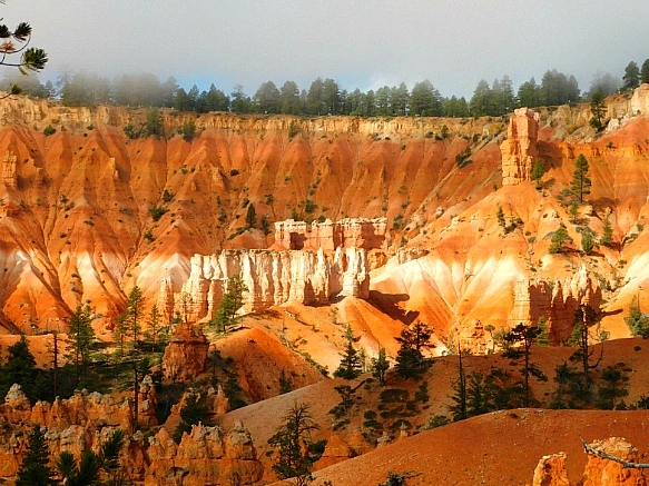 9983D1445BC569922B5226