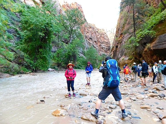 99D3CA4C5BC6858206EE1A