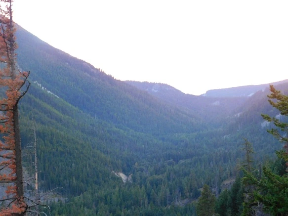 99A6933359A383600D290C