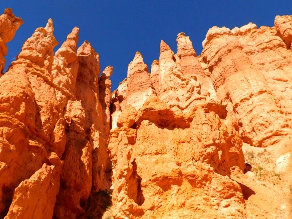 99D4363359B9B8E91942A8