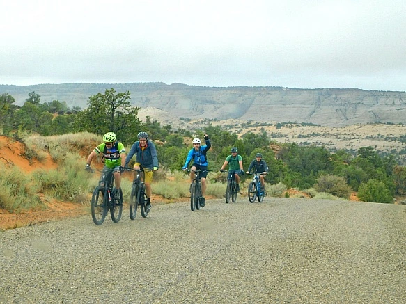 99DD72485BC2C2DF34A1EE