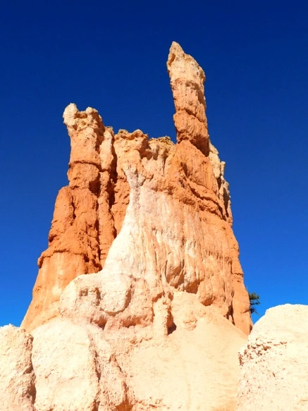 99C802335A1A3B523242F5