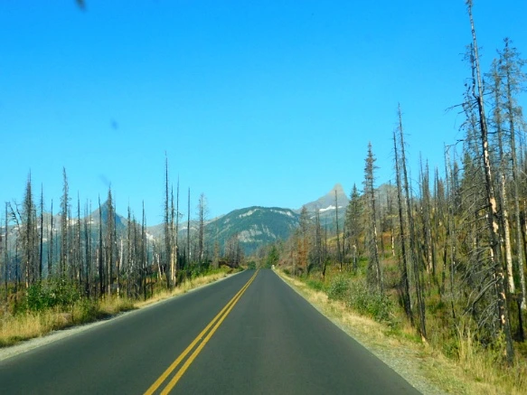 998ABC3359A24399158E43