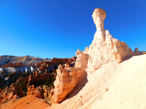 991DFE335A1A3B593BB764