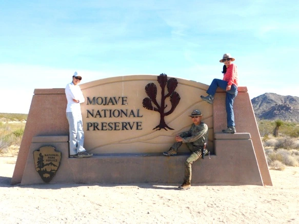 995AAC335A206E9D317A47