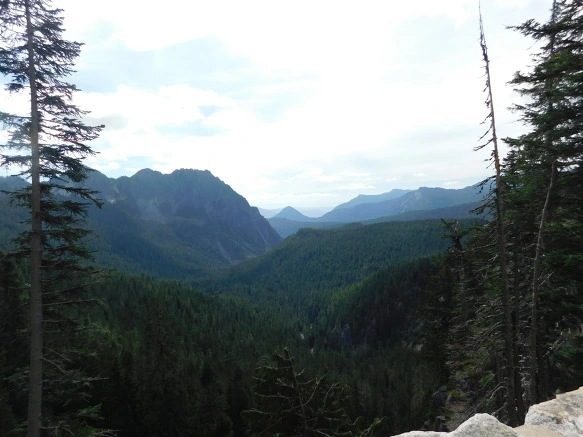 994DEF3359A4AB600A4FE4